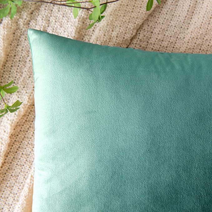 EMEMA Pack of 2 Velvet Throw Pillow Covers Decorative Square Pillowcase Soft Solid Cushion Case for Sofa Bedroom Chair Car 20x20 Inch Aqua Green
