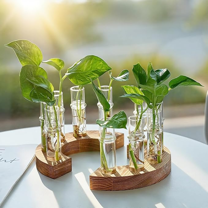 2 PCS Plant Propagation Station with Wooden Stand, Valentines Day Gifts, Glass Terrarium Vases for Plants, Birthday Gifts for Women Mom Plants Lovers, Home Office Garden Decor, 10 Tubes
