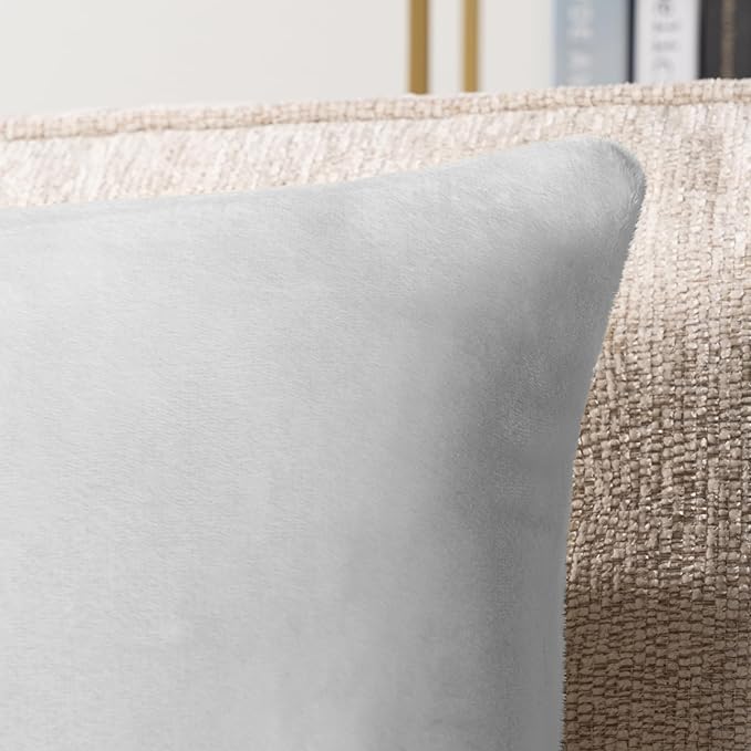 PAVILIA Light Gray Throw Pillow Covers 20x20 Set of 2, Decorative Pillow Cases for Bed Sofa Couch, Boho Aesthetic Accent Decor Cushion Bedroom Living Room, Velvet Square Euro Sham Covers, Light Grey