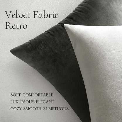 MIULEE Velvet Throw Pillow Covers 20x20 Inch, Pack of 2 - Greyish White, Soft Solid Decorative Pillow Covers Cushion Cases Modern Luxury Home Decor for Spring Couch Sofa Bedroom Livingroom