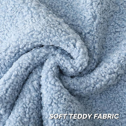 FUTEI Light Blue Throw Pillow Covers 22x22 Inch Set of 2,Furry Faux Fur Teddy Boucle Textured Cushion Covers,Soft Fluffy Decorative Pillow Case,Home Decor for Couch Bed Living Room Office Car