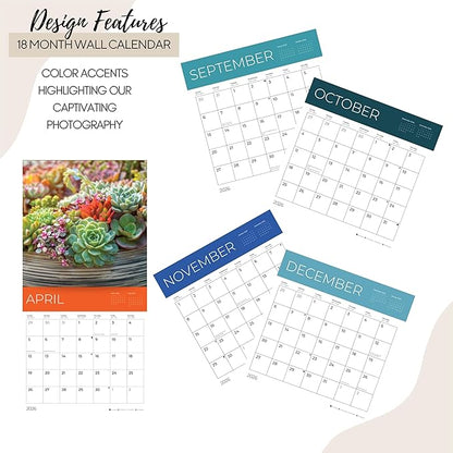 2026 Succulents Wall Calendar 18 Month | 12" x 24" Open | Giftable Flowers Calendar 2026 | Thick & Sturdy Paper for Organizing & Planning | Pacific Waters Press (Succelents)