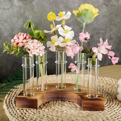 Plant Propagation Station with Wooden Stand, Valentines Day Gift, Glass Propagation Vase for Plants, Plant Terrarium Birthday Gifts for Women Mom Plants Lovers, Home Office Garden Decor, 5 Glass Tubes