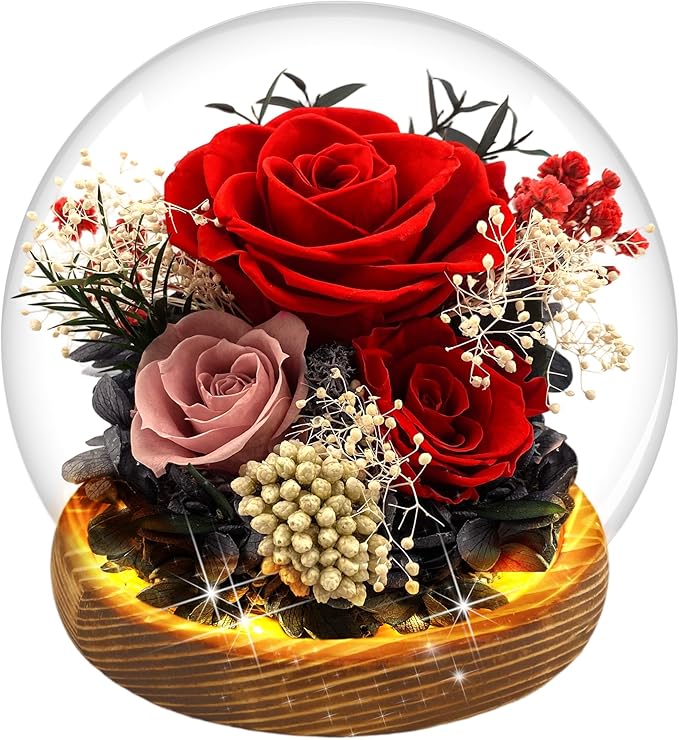 MOKOQI Red Rose Valentines Day Gifts for Her Forever Rose Flowers for Delivery Prime Preserved Flowers in Glass Dome | Birthday Gifts for Women Mom Wife Grandma on Christmas Birthday