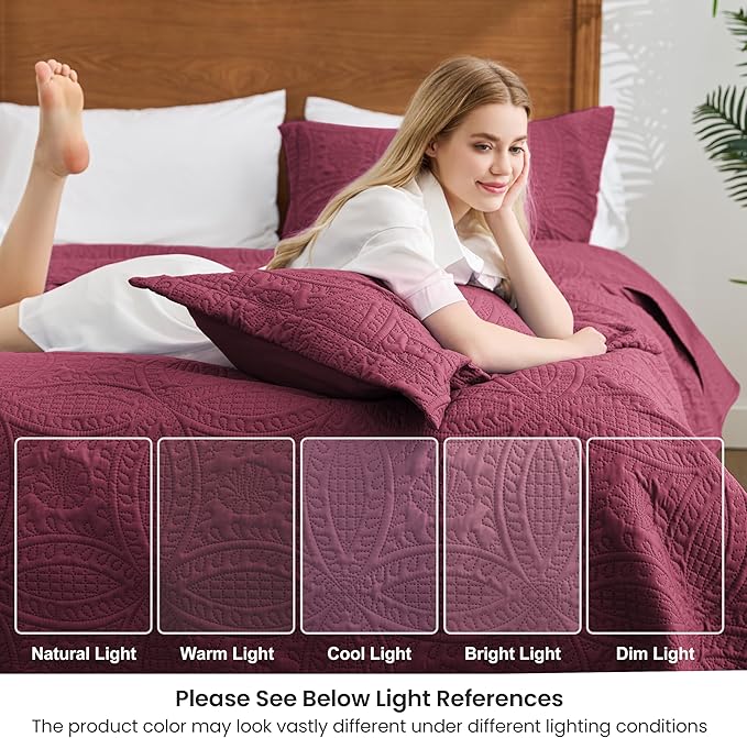 Love's cabin Quilts for Queen Bed Burgundy Bedspreads Bedding Set - Lightweight Bedspread Comforter - Coin Pattern Bedding Coverlet for All Season - 3 Pieces (1 Quilt, 2 Pillow Shams)