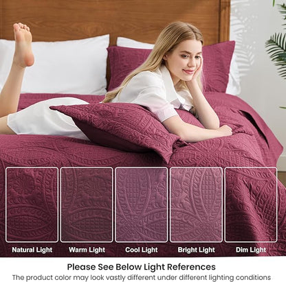 Love's cabin Quilts for Queen Bed Burgundy Bedspreads Bedding Set - Lightweight Bedspread Comforter - Coin Pattern Bedding Coverlet for All Season - 3 Pieces (1 Quilt, 2 Pillow Shams)