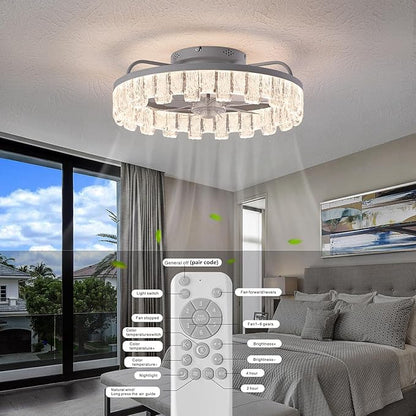 Rustic Silver Caged Ceiling Fan with Light, Personalized Fashion Ceiling Fan Remote Control with Acrylic, LED Low Profile Ceiling Light for Bedroom Kitchen Living Room