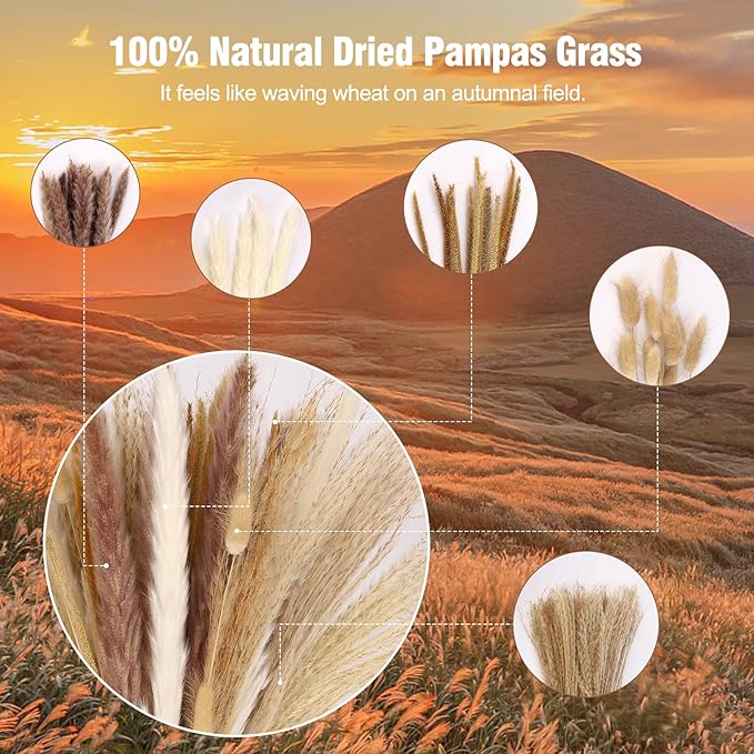 N&T NETING 50Pcs Pampas Grass Decor-5Pcs White Pampas, 10Pcs Brown Pompous, 10Pcs Bunny Tails Dried Flowers, 15Pcs Mini Pompas Grass,10Pcs Light Brown Flower Pompas for Home Decor Wedding Boho Decor