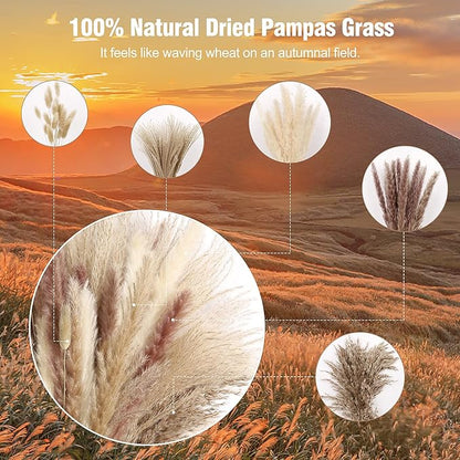 N&T NETING Dried Pampas Grass Decor- White Pampas Grass, Brown Pampas, Bunny Tail, Reed, Fluffy Dried Pompas Grass Flower for Home Wedding Table Vase Boho Modern Decor, 75Pcs