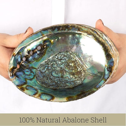 Wish Well Natural Abalone Shell 5-6 Inch Large with Wooden Stand - Incense Holder and Sage Smudge Bowl for Cleansing, Smudging, and Meditation - Palo Santo Holder & Beautiful Home Decor