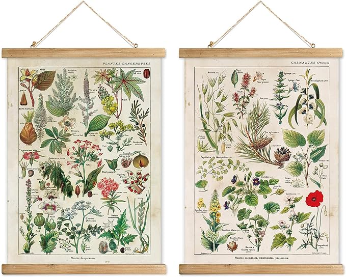 XIAOAIKA 2 Pack Vintage Plants Poster Hanger Frame, Retro Style Wall Decor Art Painting, Patterns are Printed on Linen Without Fading, Scrolls Made of Fir are Durable (16 x 23 inch)