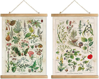 XIAOAIKA 2 Pack Vintage Plants Poster Hanger Frame, Retro Style Wall Decor Art Painting, Patterns are Printed on Linen Without Fading, Scrolls Made of Fir are Durable (16 x 23 inch)