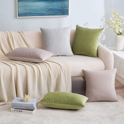EMEMA Pack of 2 Velvet Pillow Covers Decorative Square Pillowcase Soft Solid Cushion Case for Sofa Bedroom Car 18x18 Inch Sage Green