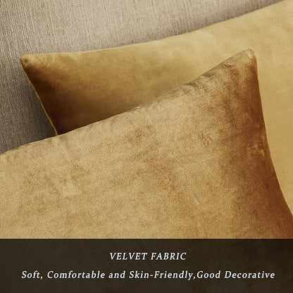 GIGIZAZA Golden Lumber Pillow Covers 12x20，Throw Velvet Decorative Cushion Pillow Covers for Couch Sofa Pack of 2