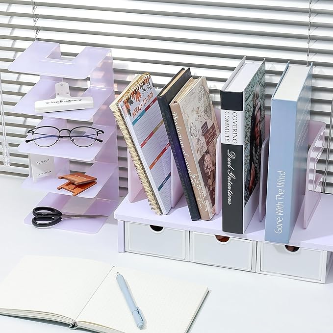 BAYTORY 2Pcs Acrylic File Holder Purse Organizer, Sturdy Desktop File Sorter Organizer, Binder Shelf for Office Desk Kitchen Shelf Closet (Purple)