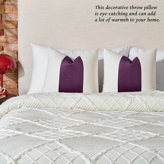 AmHoo Pack of 2 Velvet Panel Cotton Pillow Covers Decorative Pillowcase Cushion for Couch Sofa Bedroom 20 x 20-Inch Dark Purple