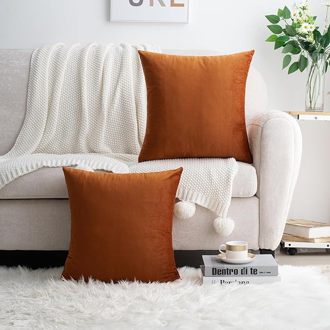HWY 50 Burnt Orange Velvet Throw Pillow Covers 18x18 Inch, Pack of 2 Soft Cozy Solid Decorative Luxury Fall Cushion Cases for Couch Sofa Bed Living Room Bedroom
