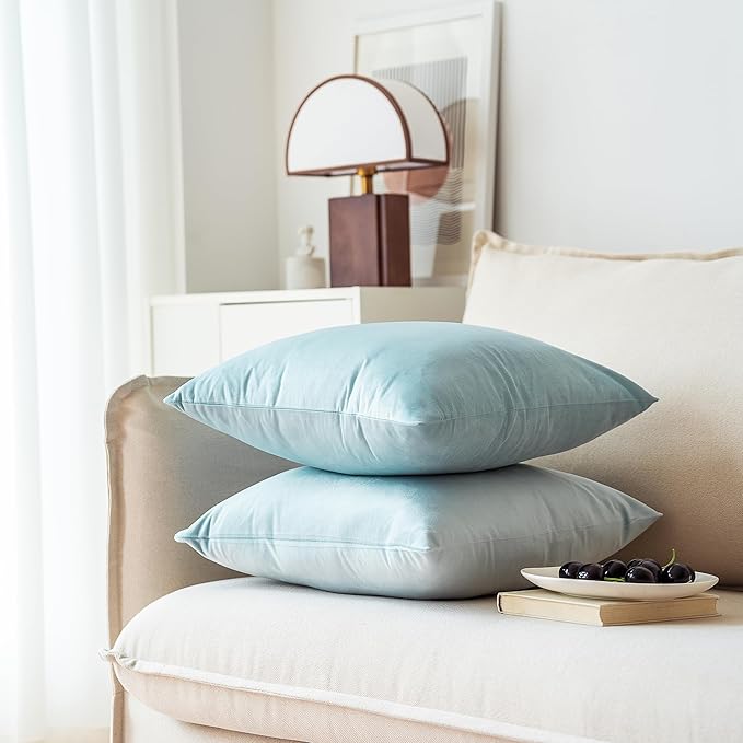NiNi ALL Decorative Throw Pillow Covers Pack of 2, Velvet Throw Pillow Cases for Couch Pillows Cover Bedroom Living Room Outdoor Pillow Covers 20x20 Inch Baby Blue