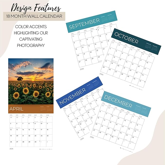 Sunflowers Wall Calendar 2026 | Sunflower Field Calendar | 12" x 24" Open | Giftable Flowers Calendar 2026 | Thick & Sturdy Paper | Pacific Waters Press (Sunflowers)