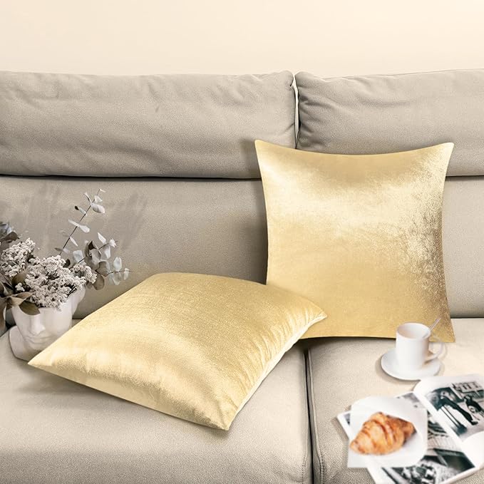 2 Pack 18x18 Pillow Cover Velvet Pillow Covers, Square Throw Pillow Covers for Living Room Decorations Throw Pillow Case, Throw Pillow Cover Cushion Cover for Home Sofa Bedroom Car, Champagne