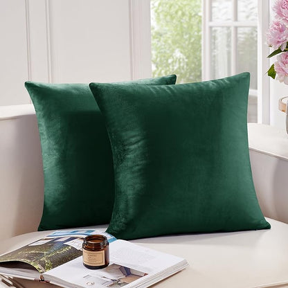 Deconovo Velvet Throw Pillow Covers 16x16 Inch, Decorative Soft Couch Pillow Covers for Home Decor Sofa Car Living Room Bedroom, Set of 2, Emerald Green