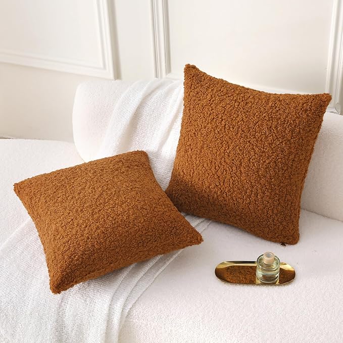 FUTEI Rust Throw Pillow Covers 22x22 Inch Set of 2,Furry Faux Fur Teddy Boucle Textured Cushion Covers,Soft Fluffy Decorative Pillow Case,Home Decor for Couch Bed Living Room Office Car