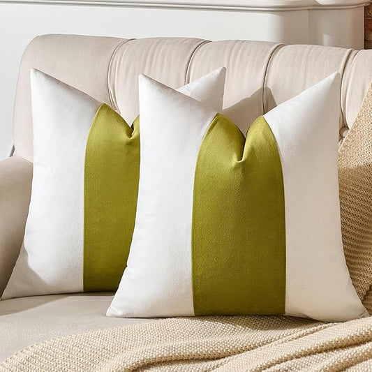 AmHoo Pack of 2 Velvet Panel Cotton Pillow Covers Decorative Pillowcase Cushion for Couch Sofa Bedroom 20 x 20-Inch Spinach Green