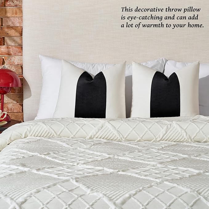 AmHoo Pack of 2 Velvet Panel Cotton Pillow Covers Decorative Pillowcase Cushion for Couch Sofa Bedroom 20 x 20-Inch Black