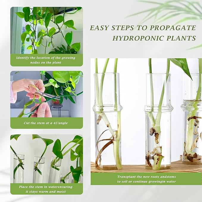 2 PCS Plant Propagation Station with Wooden Stand, Valentines Day Gifts, Glass Terrarium Vases for Plants, Birthday Gifts for Women Mom Plants Lovers, Home Office Garden Decor, 10 Tubes