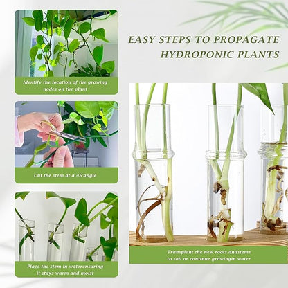 2 PCS Plant Propagation Station with Wooden Stand, Valentines Day Gifts, Glass Terrarium Vases for Plants, Birthday Gifts for Women Mom Plants Lovers, Home Office Garden Decor, 10 Tubes