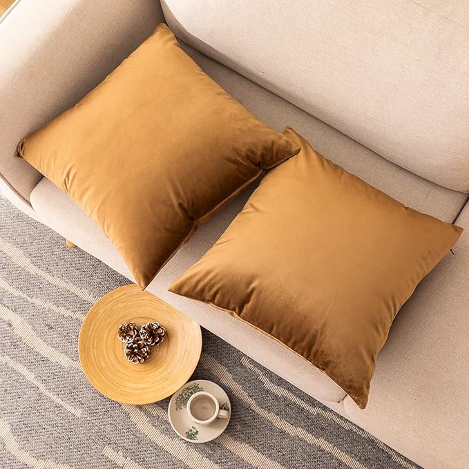 NiNi ALL Decorative Throw Pillow Covers Velvet 22x22 Inch Pack of 2 Brown Cushion Covers Soft for Couch Sofa Bedroom Living Room Outdoor