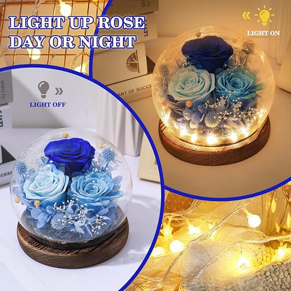 FIACO Valentines Gifts for Her Preserved Flowers in Glass Dome Long-Lasting Eternal Roses Birthday Gifts for Women Mom Grandma Wife Girlfriend Blue Forever Flowers for Delivery Prime