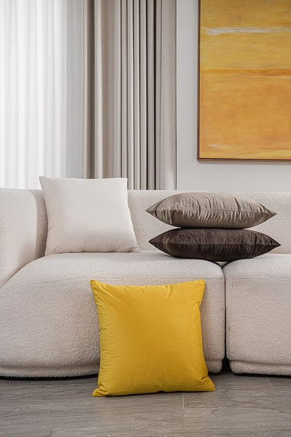 Couch Pillow Covers 16x16 Cream: 2 Pack Cozy Soft Velvet Square Throw Pillow Cases for Farmhouse Home Decor