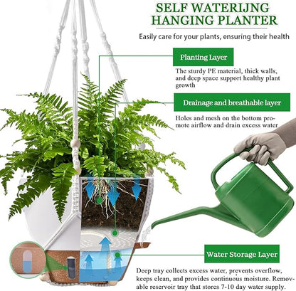 10 Inch Tall Hanging Planters & Baskets for Indoor Plants (2 Pack) – Self Watering Flower Pots with Deep Design & Visual Water Window, Perfect for Large Plants Like Pothos, Monstera,Spider plant