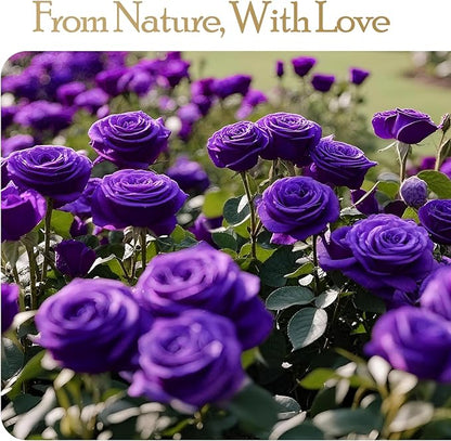 16 Preserved Flowers Rose Birthday Gifts for Women Her Mom Wife Girlfriend Grandma on Valentines Mothers Day Christmas Anniversary Romantic(Purple)