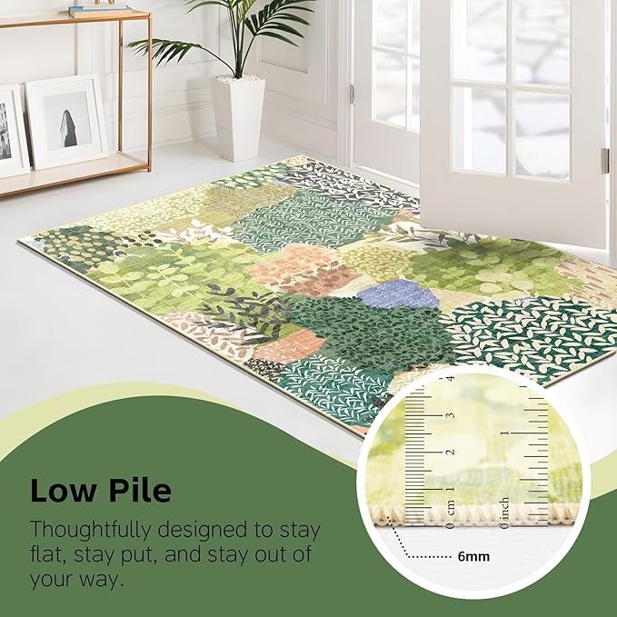 DEXDE 2x3 Area Rug, Small Boho Rugs Entryway Doormat Indoor Machine Washable Non-Slip Abstract Botanical Leaves Floral Print Floor Carpet for Living Room, Bedroom, Office, Kids Playroom,Green