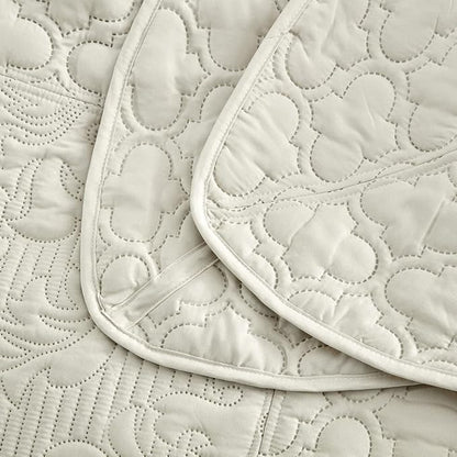 CHIXIN Bedspread Coverlet Set Queen Size - Lightweight Bedding Cover - Ultrasonic Quilting - 5 Piece Reversible Bedspread - Elegant Damask Paisley Pattern (Queen, Ivory)