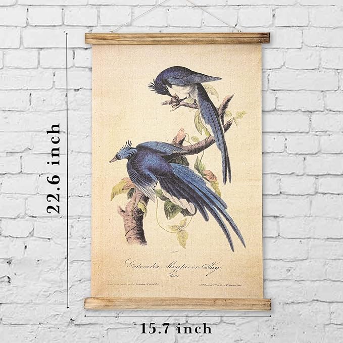 ABoby Vintage Birds Hanging Poster, Retro Style of Wall Art Prints, Printed on Linen with Wood Frames, Ready to Hang