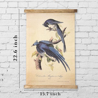 ABoby Vintage Birds Hanging Poster, Retro Style of Wall Art Prints, Printed on Linen with Wood Frames, Ready to Hang