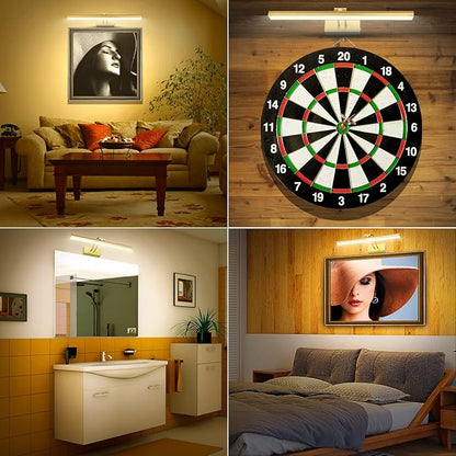 FUNCHDAY Picture Light,Battery Operated Art Lights for Wall,Wireless Remote Painting Light with Timer and Dimmable,16”Metal Display Lighting for Artwork,Portrait,Gallery-Gold-L