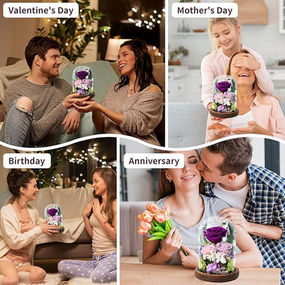 Preserved Flowers in Glass Dome, Forever Flower, Eternal Flowers, Birthday Gifts for Women, Gifts for Mom Girlfriend Her Friendship, Home Decor Living Room Bedroom (Mauve)