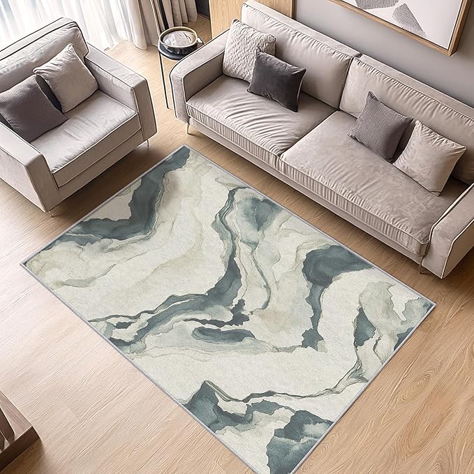 Swirl Rugs for Living Room - Abstract Rug, 4x7 Rug, Contemporary Area Rug & Room Decor, Modern Carpet & Home Decor, Washable Non Slip Anti Skid Rugs
