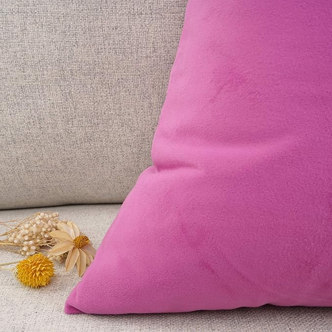 YOUR SMILE Pack of 2 Velvet Pure Color Pillow Covers Decorative Square Pillowcase Soft Solid Cushion Case for Sofa Bedroom Car (Pink, 18''x18'')