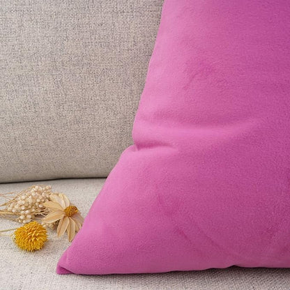 YOUR SMILE Pack of 2 Velvet Pure Color Pillow Covers Decorative Square Pillowcase Soft Solid Cushion Case for Sofa Bedroom Car (Pink, 18''x18'')