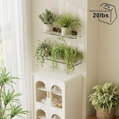 QsQueen Acrylic Floating Shelves with Solid Wood Base, Wall Mounted Shelf for Plants, Perfume, Nail Polish, Bathroom, Bedroom & Living Room Décor