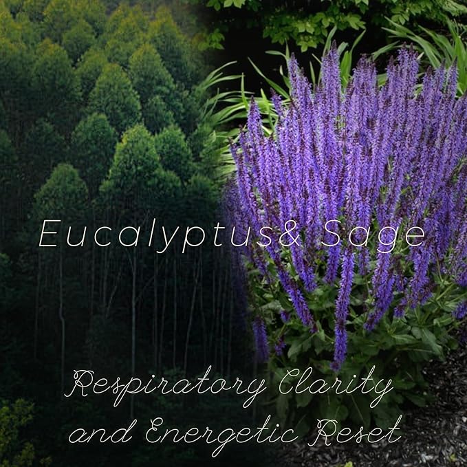 Eucalyptus & Sage Soy Scented Candles for Home- 6.3oz 42H Natural Soy Wax Aromatherapy Jar Candle with Strong Scent, Decorative Aesthetic Candles for Relax, Meditation, Bathroom, Luxury Gift for Women