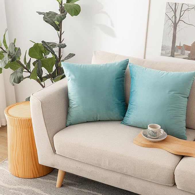 NiNi ALL Decorative Throw Pillow Covers Pack of 2, Velvet Cushion Case for Couch Bedroom Living Room Outdoor, Pillow Covers 24x24 Inch（60 x 60 cm） Light Blue
