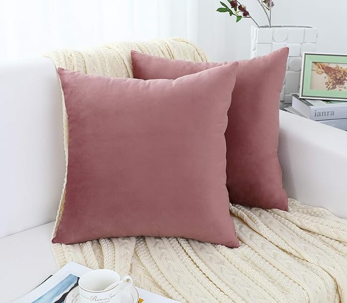 Jeneoo Velvet Throw Pillow Covers 18x18 Inch 2 Pack, Super Soft Thick Decorative Square Cushion Cases for Sofa Couch Bedroom Car, Dusty Rose