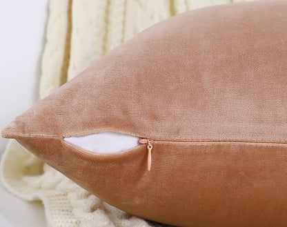 Jeneoo Set of 2 Comfy Soft Velvet Throw Pillow Covers for Sofa Couch Invisible Zipper Decorative Solid Square Cushion Cases for Bedroom Car (18 x 18 Inches, Blush Rose)