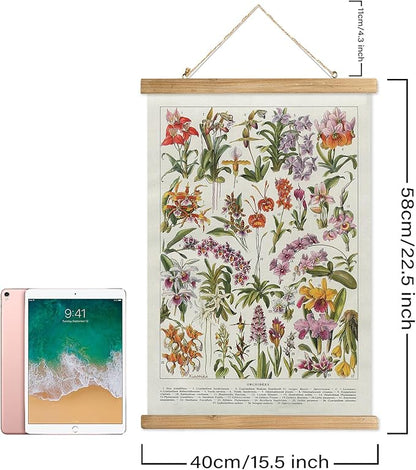 XIAOAIKA Botanical Floral Wall Art Prints - Set of 2, Antique Flower Illustration Posters with Wooden Hanging Frames, Vintage Garden Plant Decor 16 x 23 Inches